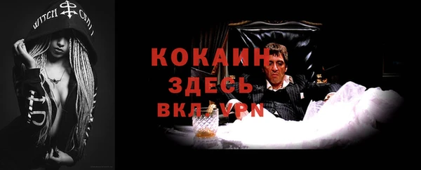 стаф Богородицк